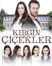 Обиженные цветы 2 сезон (турецкий сериал, 2017)