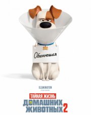 Тайная жизнь домашних животных 2 (, 2019)