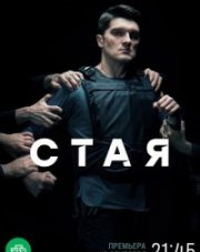 Стая (, 2022)